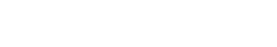 Fayetteville Flyer