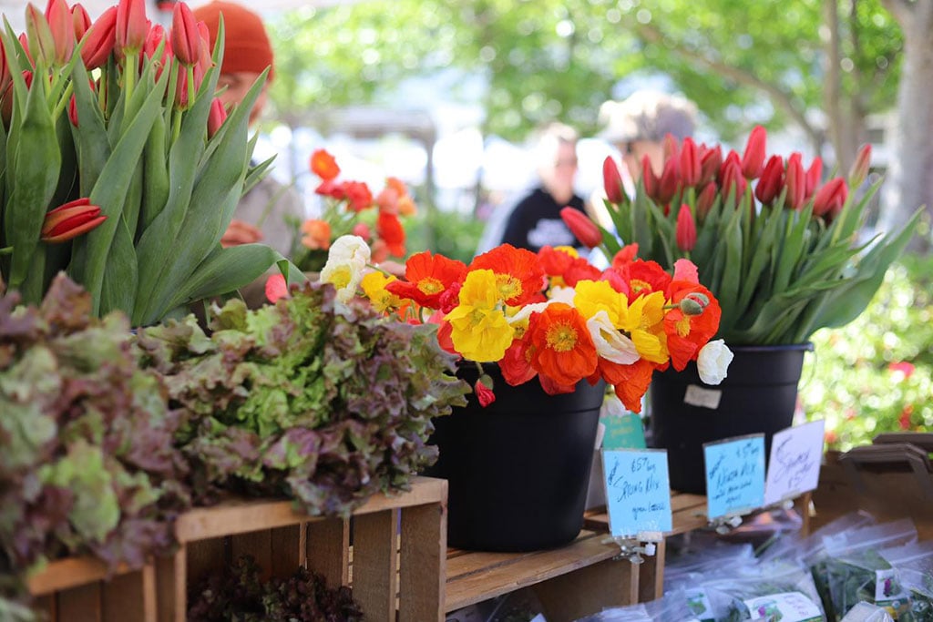 Fayetteville Farmers’ Market returns to the square March 23