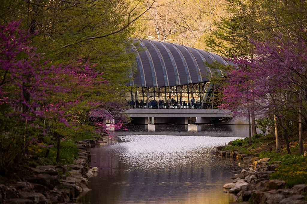 Crystal Bridges earns arboretum accreditation